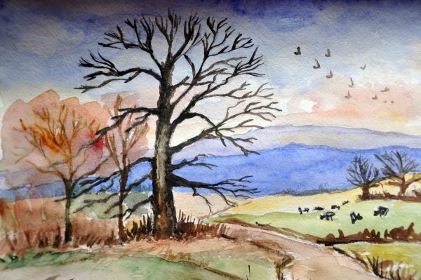 Пейзаж для рисования для детей