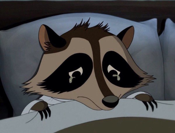 Грустный енот