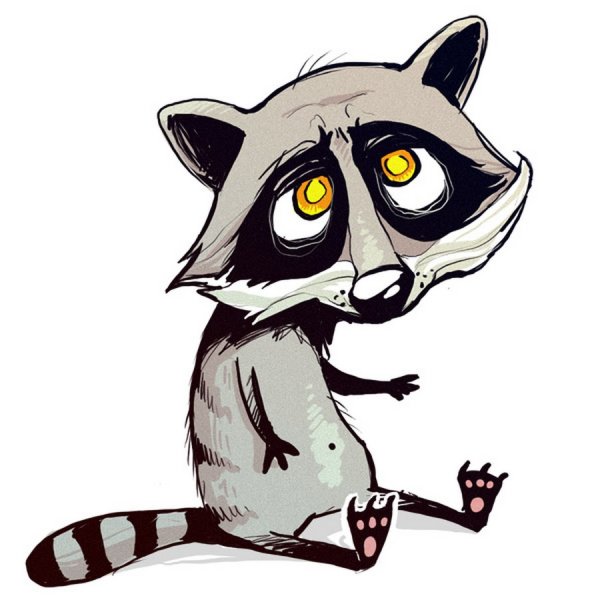 Енот рисунок