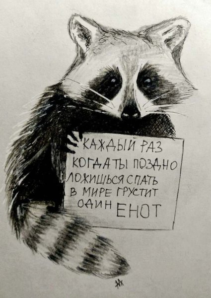 Грустный енот