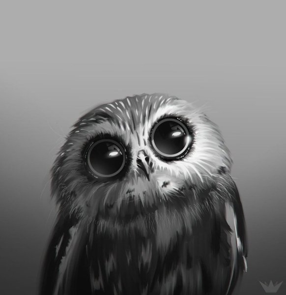 Грустная Сова