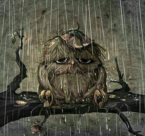 Грустная Сова под дождем