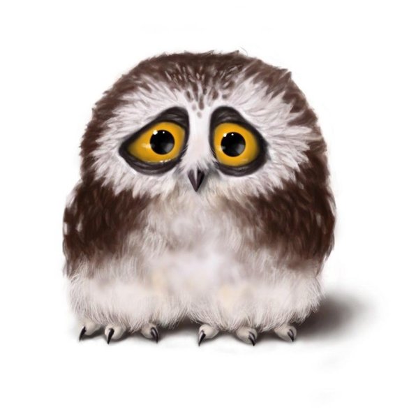 Унылая Сова