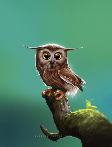 Забавные Совушки