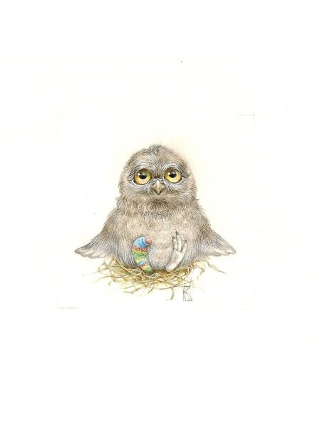 Художник-иллюстратор Екатерина Бородачева Совы