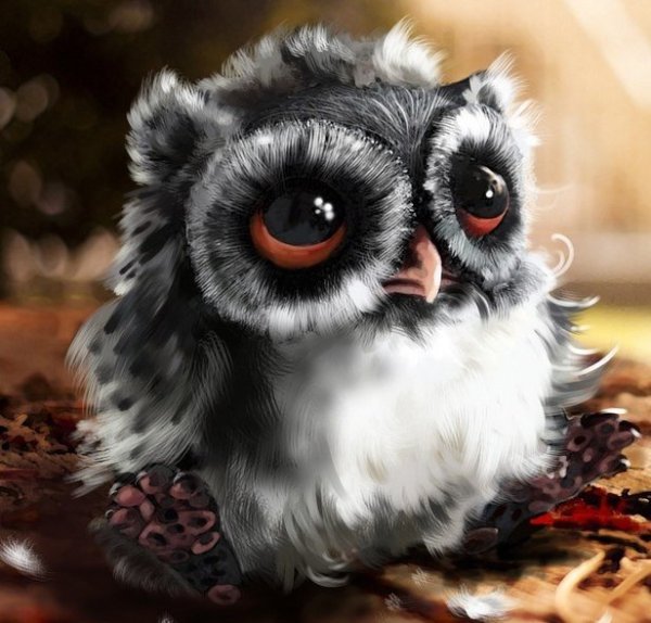 Грустный Совенок