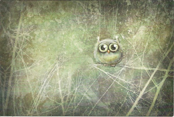 Анна Вороная Совы