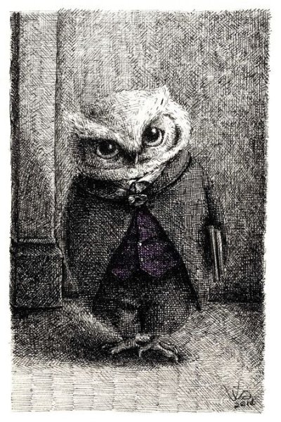 Злая Сова рисунок