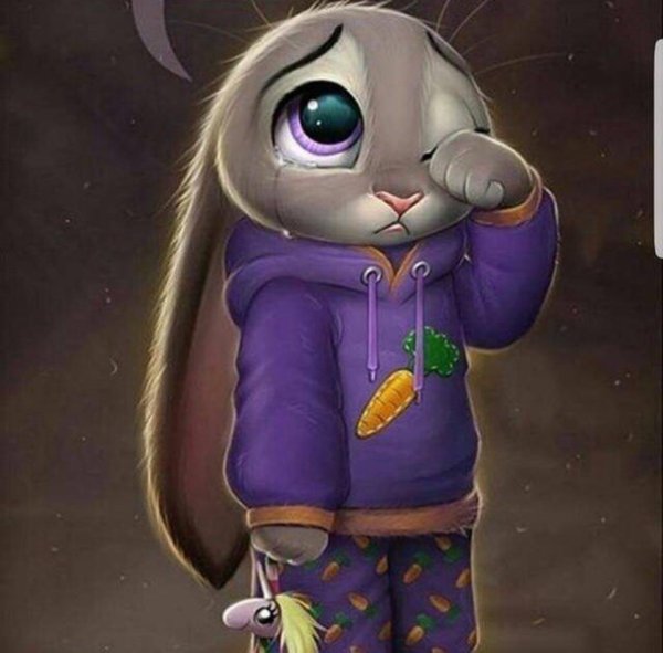 Грустный заяц