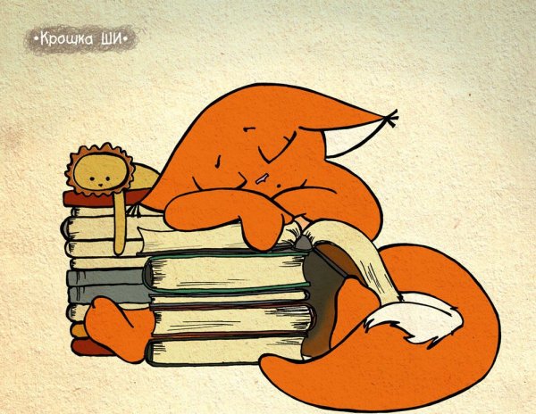 Лисичка крошка ши