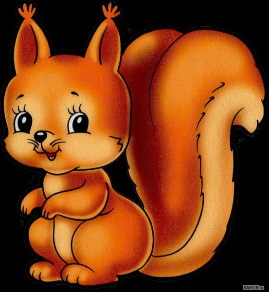 Белочка рисунок