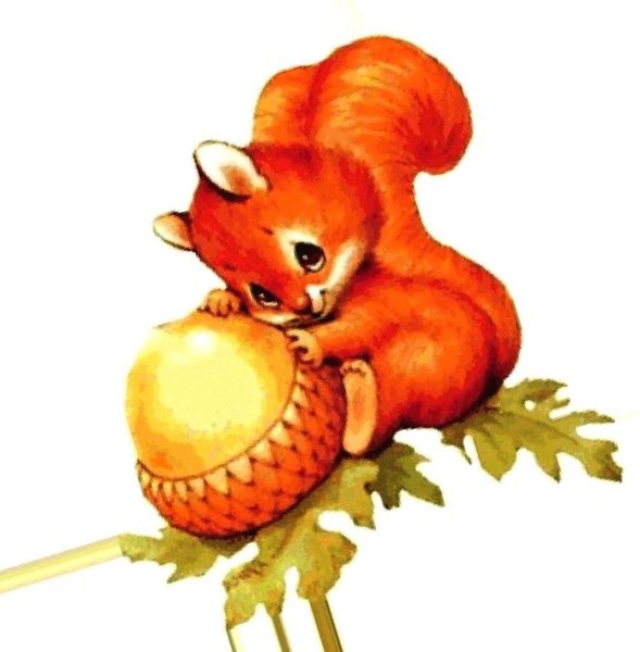 Картинка Белочка с орешками