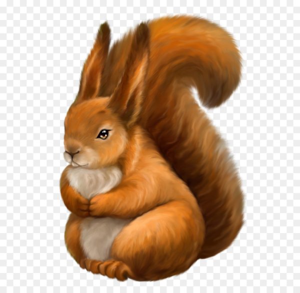 Белочка на прозрачном фоне
