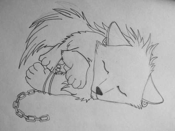 Рисунки для срисовки карандашом прикольные волки