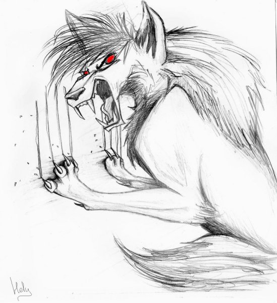 Волк карандашом для срисовки легко