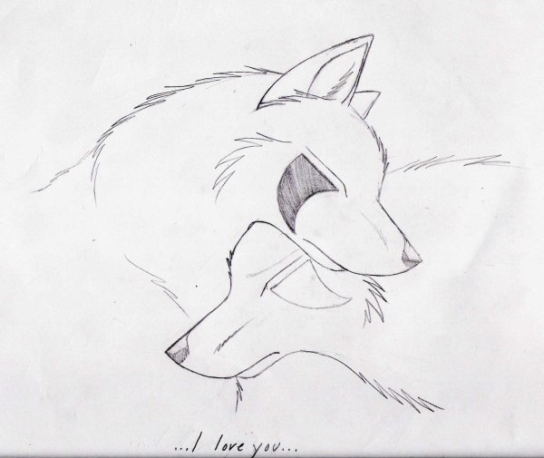 Рисунок волка карандашом для срисовки