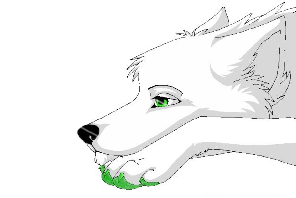 Лайн волка аниме