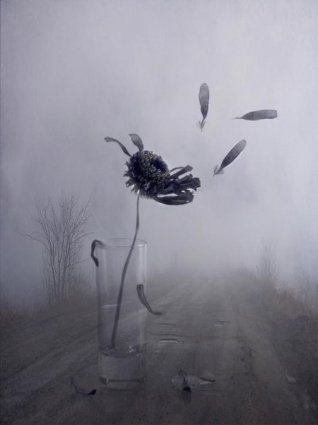 Грустный ветер