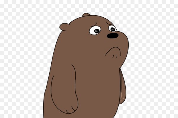 Вся правда о медведях Гриз