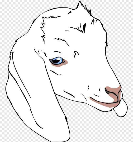 Нубийская коза рисунок