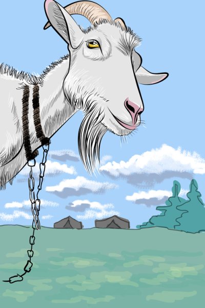 Коза упирается