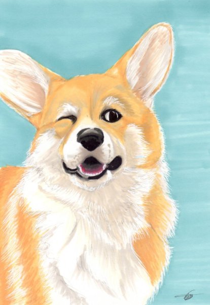 Вельш корги арт