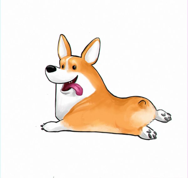 Корги рисунок смешной