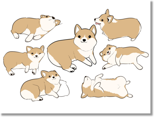 Вельш корги референс