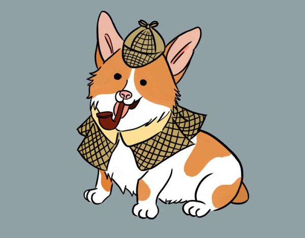 Вельш корги Шерлок