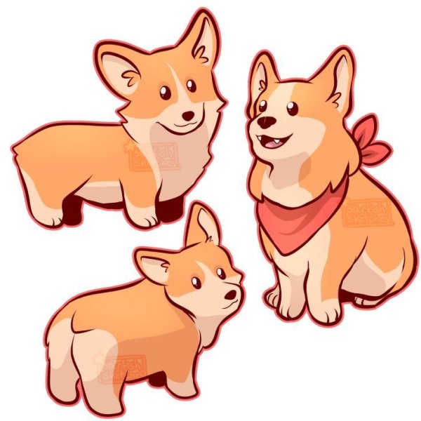 Вельш корги референс