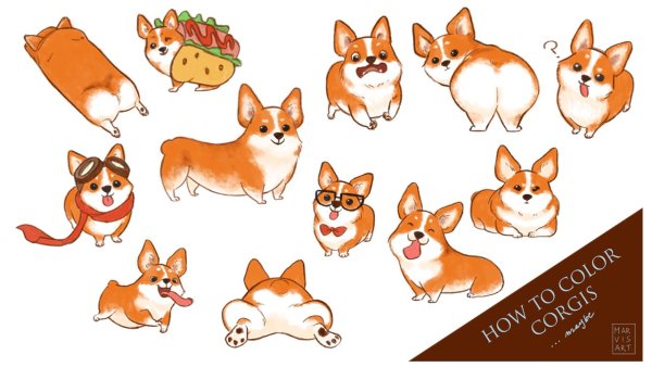 Вельш корги рисунок