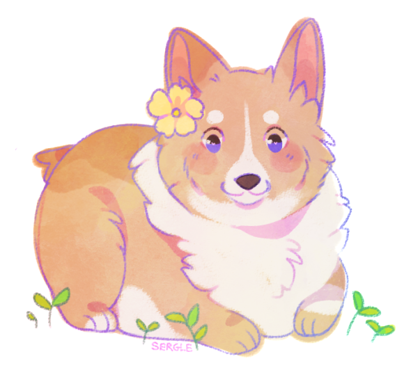 Корги арт