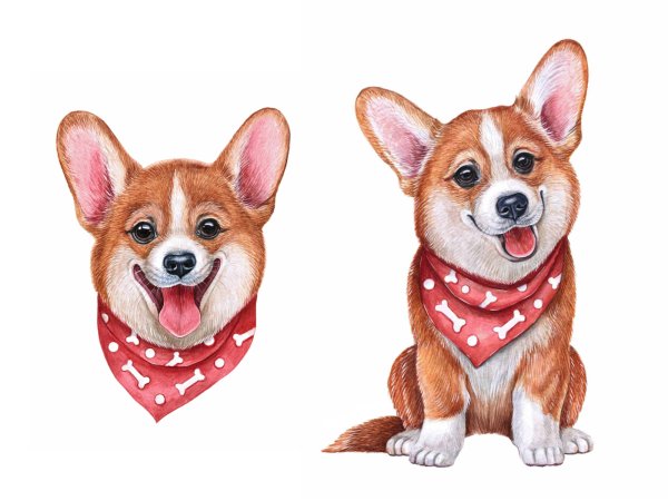 Обои с корги мультяшные