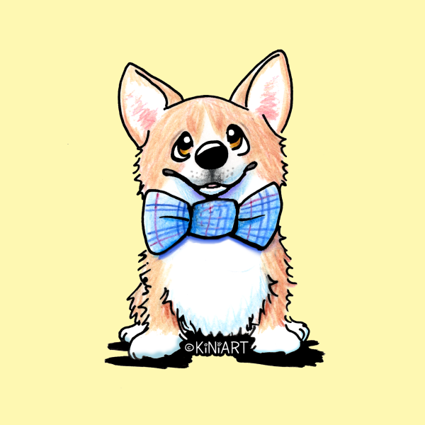 Корги нсрисо