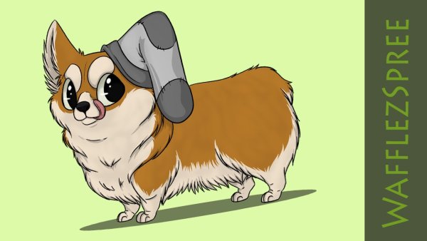 Корги в мультяшном стиле