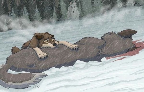 Балто смерть Балто