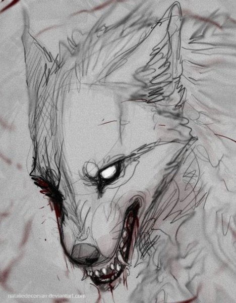Волк скетч