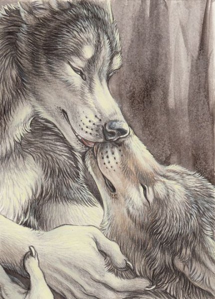 Волчьи объятия