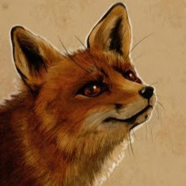 Грустный Лис