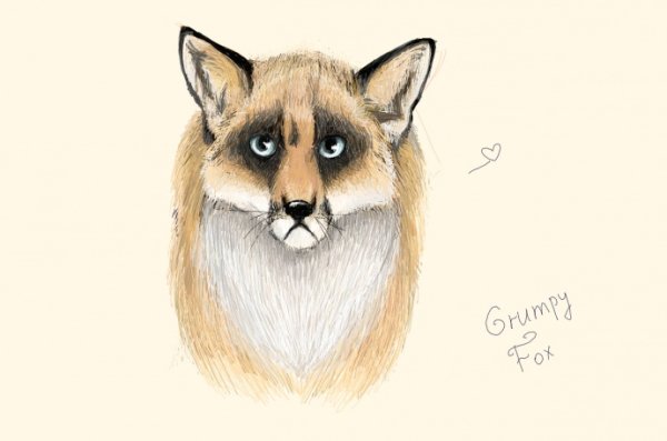 Грустная лиса