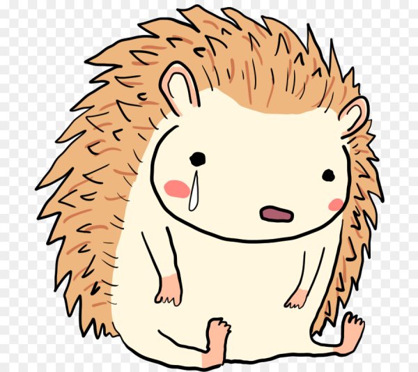 Грустный Ежик