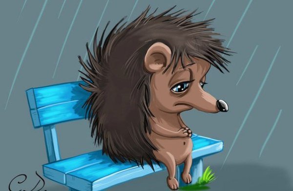 Ежик плачет