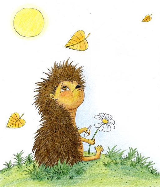 Ежик и солнце