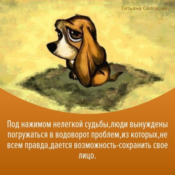 Грустные животные мультяшные