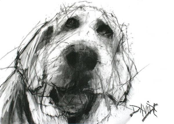 Печальная собака арт