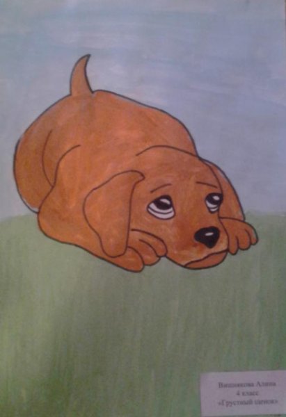 Мой домашний любимец рисунок