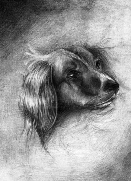 Рисунки углем простые