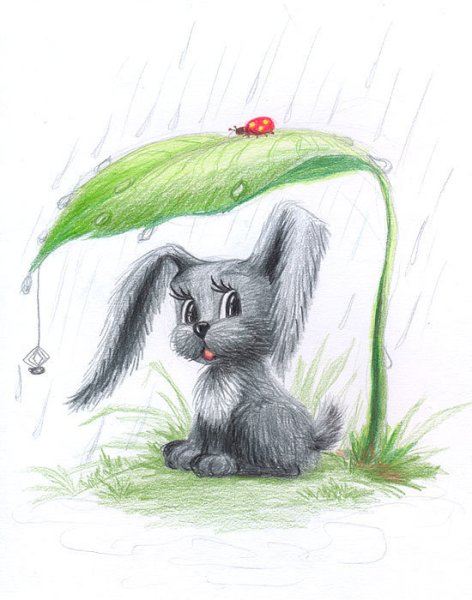 Зайчик под дождем