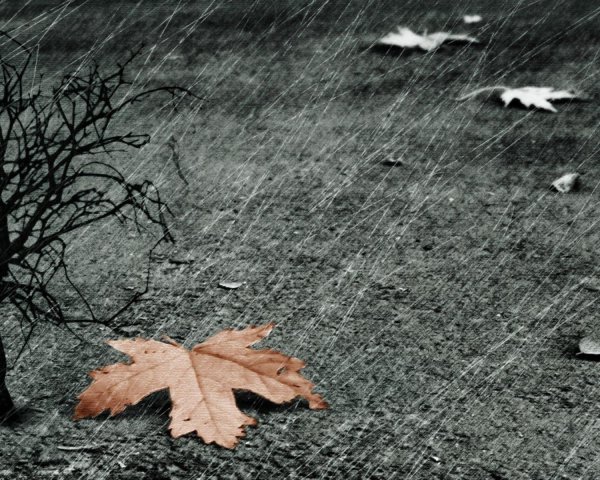 Осень дождь одиночество