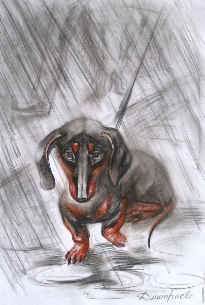 Животные мягким материалом